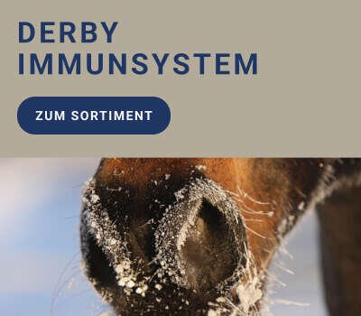 Kachel Navi Banner Immunsystem